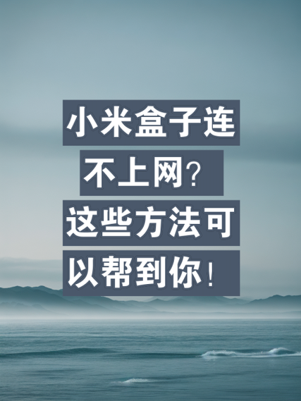 小米盒子连了wifi却不能上网