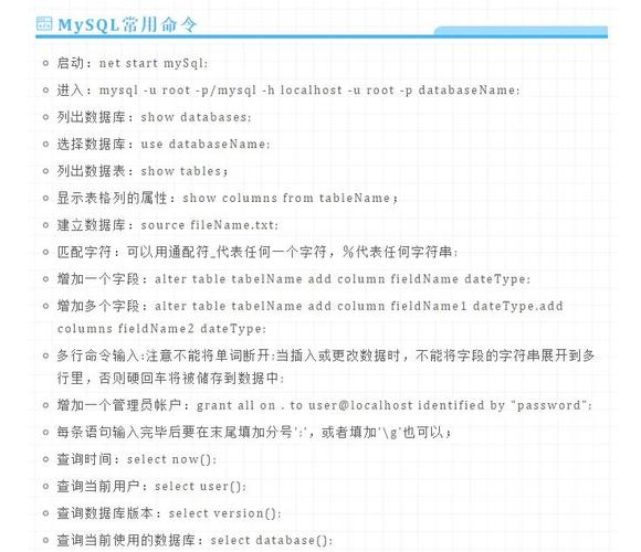 vlogger翻译