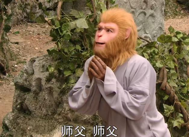 人在西游:开局孙悟空来拜师截图2