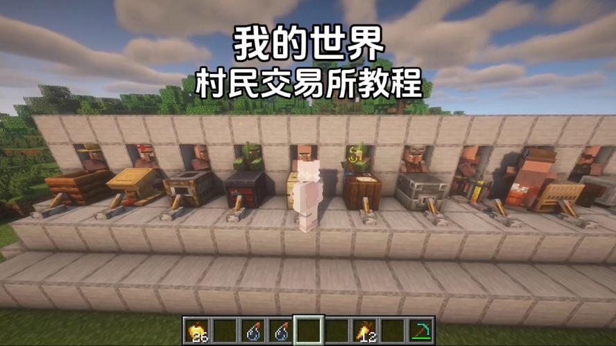 我的世界村民聚在一起干嘛