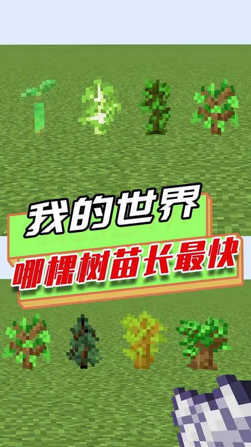 我的世界树苗