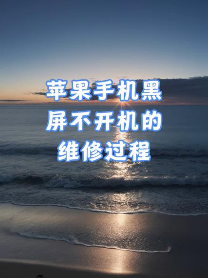 苹果前置摄像头黑屏维修多少钱