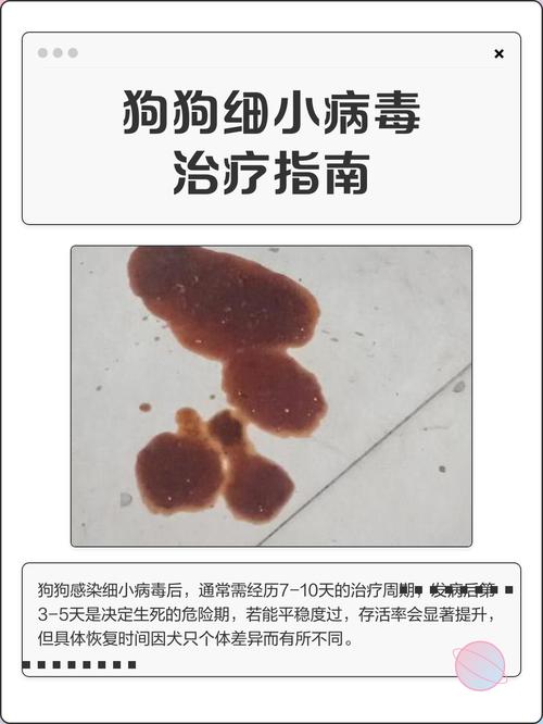 狗狗只吐不拉是细小吗