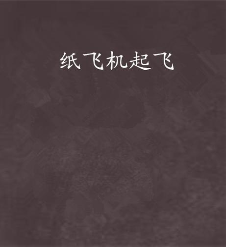 飞机能飞 小说截图3