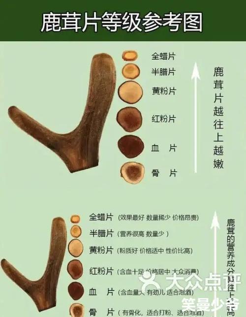 鹿茸对糖尿病的作用