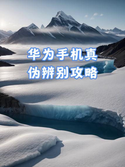 华为官网查真伪入口