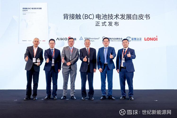 北京顶峰世纪科技有限公司