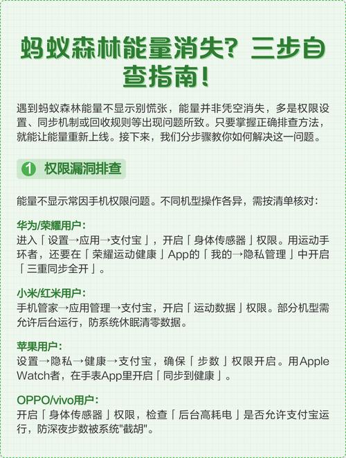 蚂蚁森林能量突然没有了怎么办