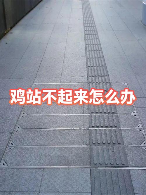 鸡站不起来怎么恢复快