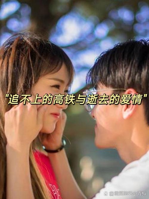 列车上的偶然相遇概括