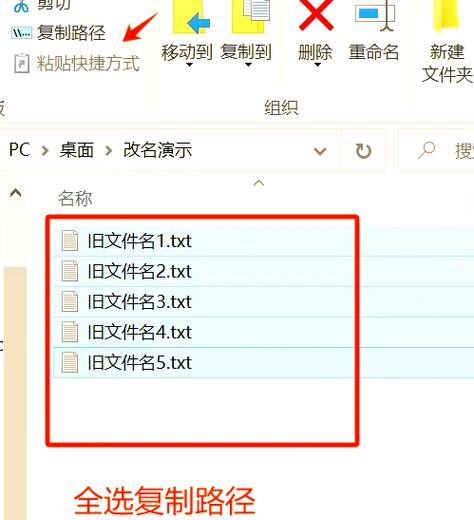 改文件名