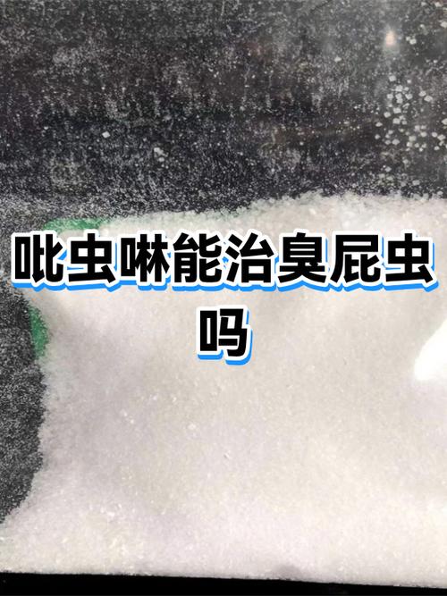 吡虫啉能杀臭屁虫吗