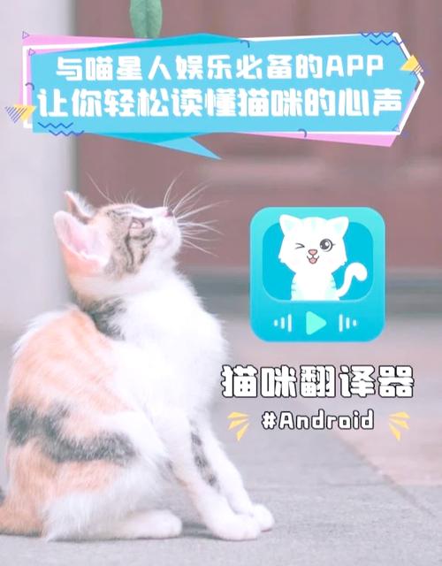猫咪翻译器免费软件