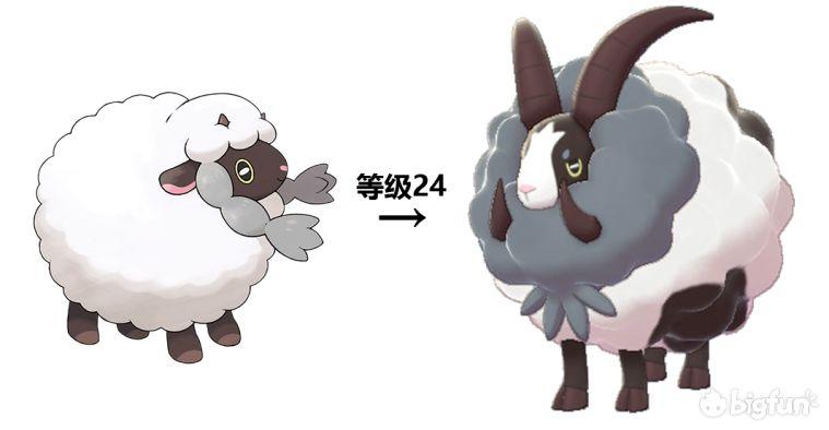 毛辫羊进化顺序图