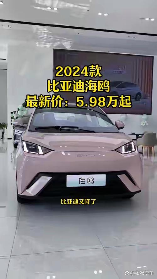 比亚迪海鸥5.98万