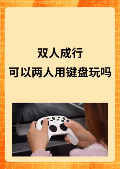可以一个手柄一个键盘的双人游戏