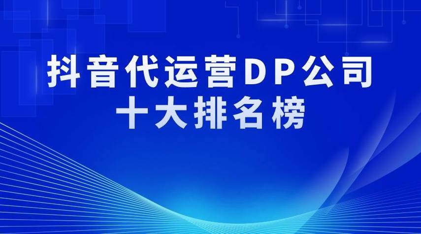 电商dp是什么意思