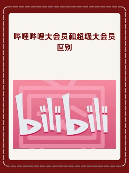 哔哩哔哩的vip可以分享吗