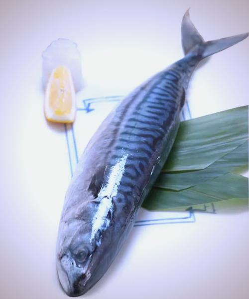 hamachi青花鱼截图2