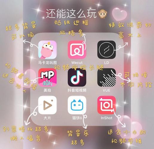 领福利视频软件