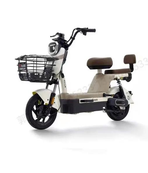 台铃60v电动车价格图片