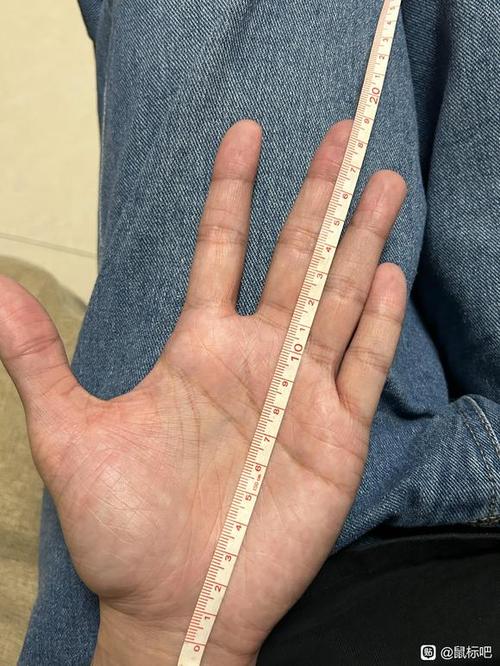 手长22厘米算大手吗