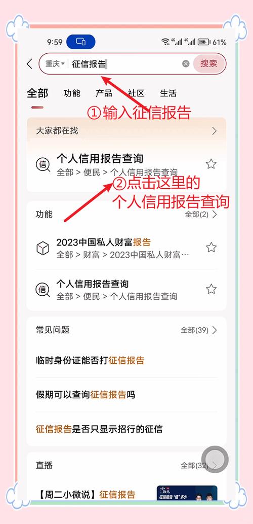 人行征信中心个人查询