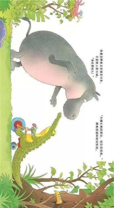 《大肚子河马》的故事