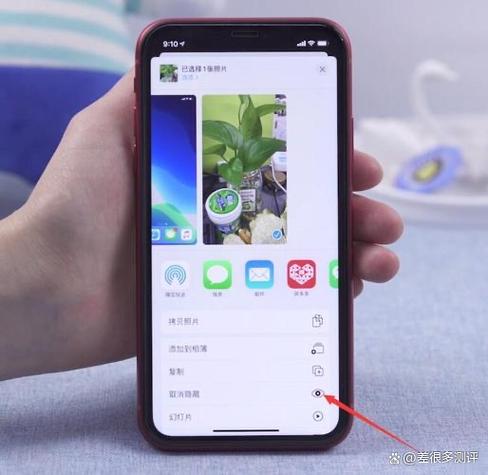 苹果14的照片怎么隐藏起来
