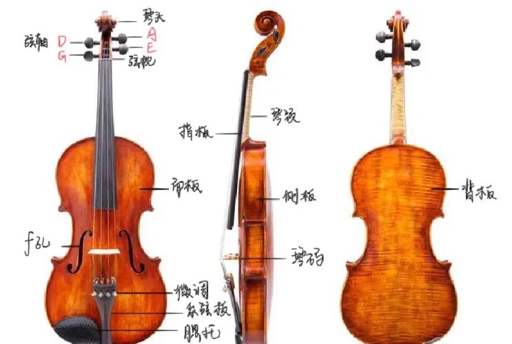 小提琴初学者入门教程