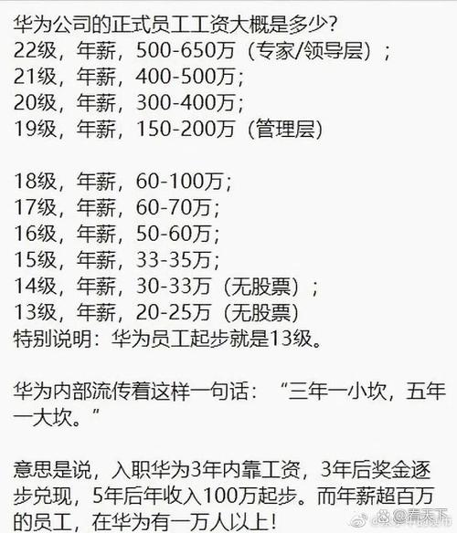 在华为18级能拿到多少钱