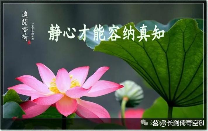 智慧的人歌谱