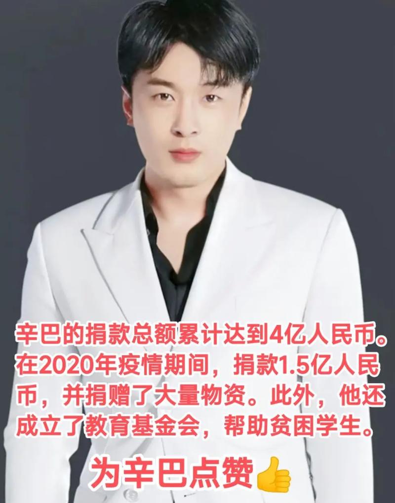 辛巴一共捐了多少亿
