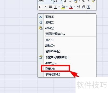 Excel中如何显示或隐藏单元格