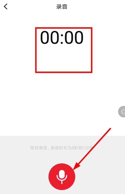 很皮语音包打不开