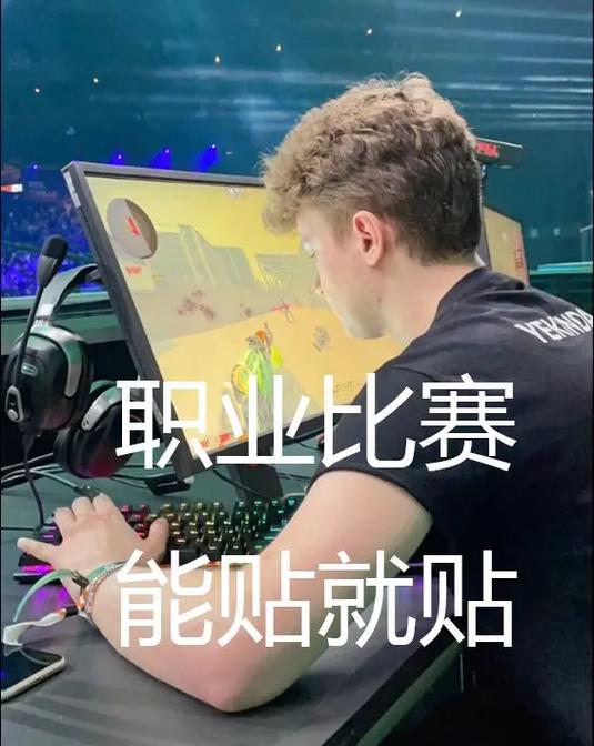 因为你才是职业选手csgo