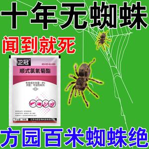 蜘蛛打什么药管用