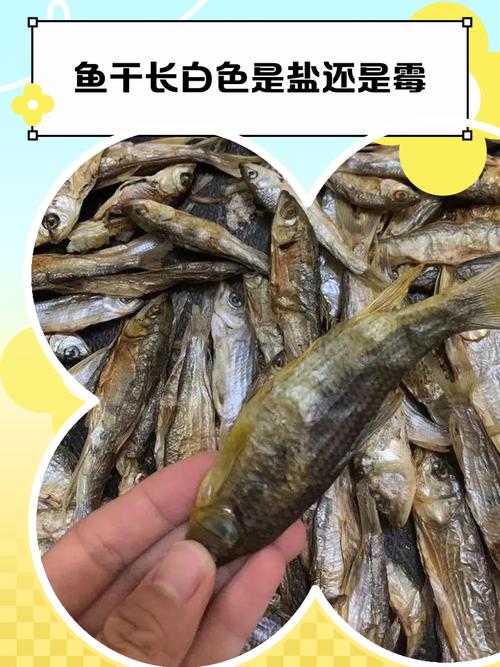 咸鱼肉表面有白色东西