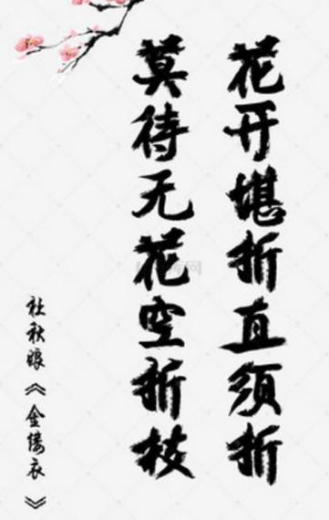 人生得意须尽欢莫待花落空折枝