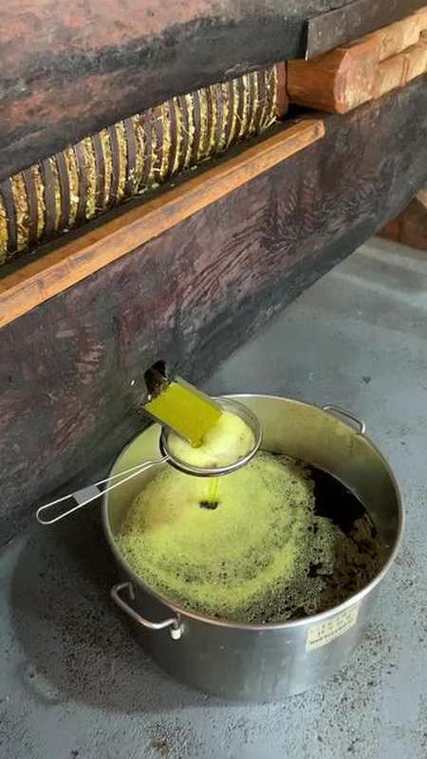 榨油
