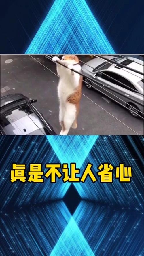 不叫人省心