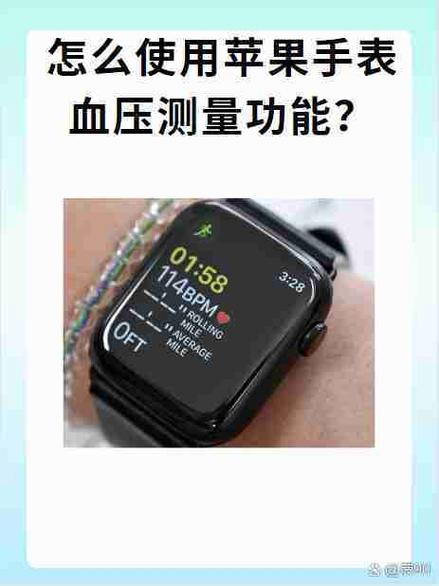 apple watch 入门指南