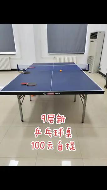 二手乒乓球台200元转让