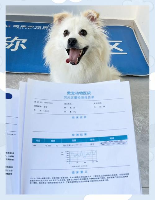 狗狗抽搐发抖站立不稳