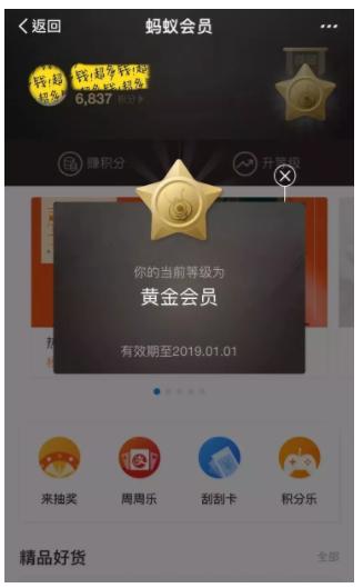 蚂蚁会员是什么