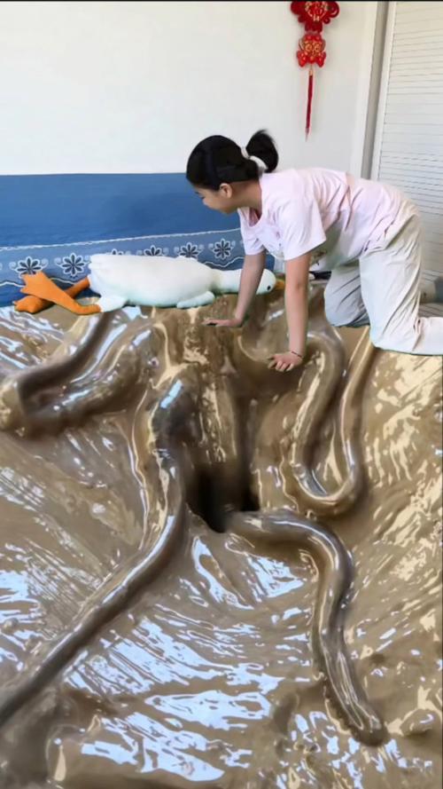 找八爪鱼洞口视频教程截图2