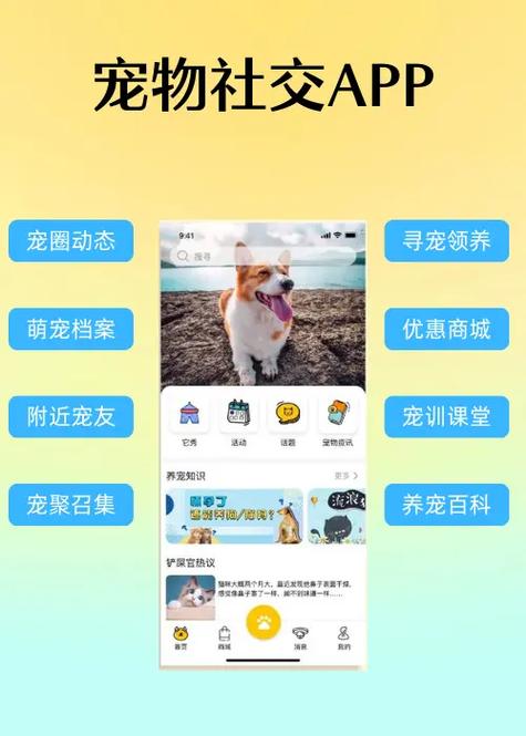 分享乐app最新版