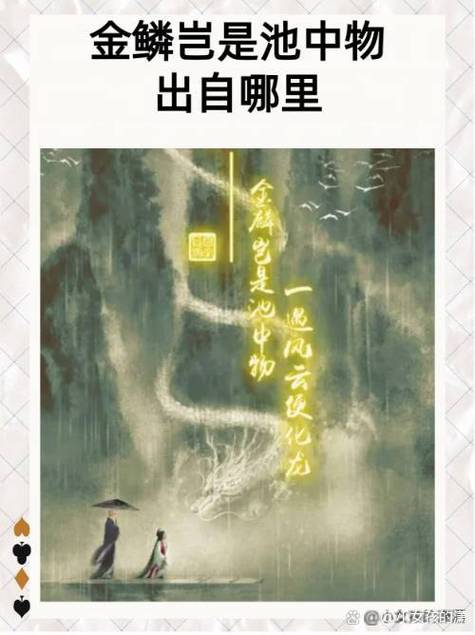 风云小说作者