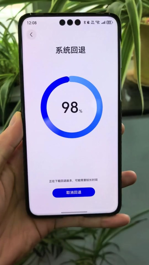 支付宝怎么回到上一个版本