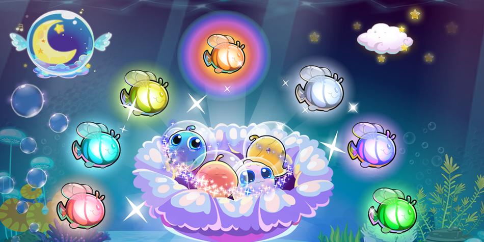 开心水族箱皇冠鱼